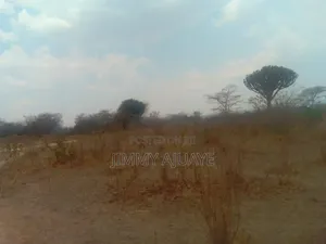 Shamba Linauzwa