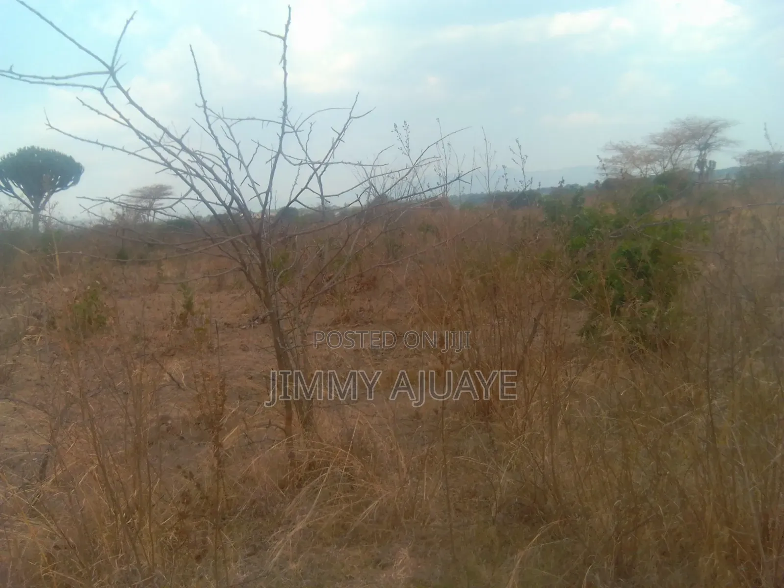 Shamba Linauzwa