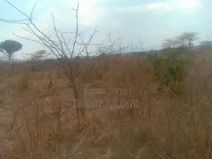 Shamba Linauzwa