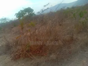 Shamba Linauzwa