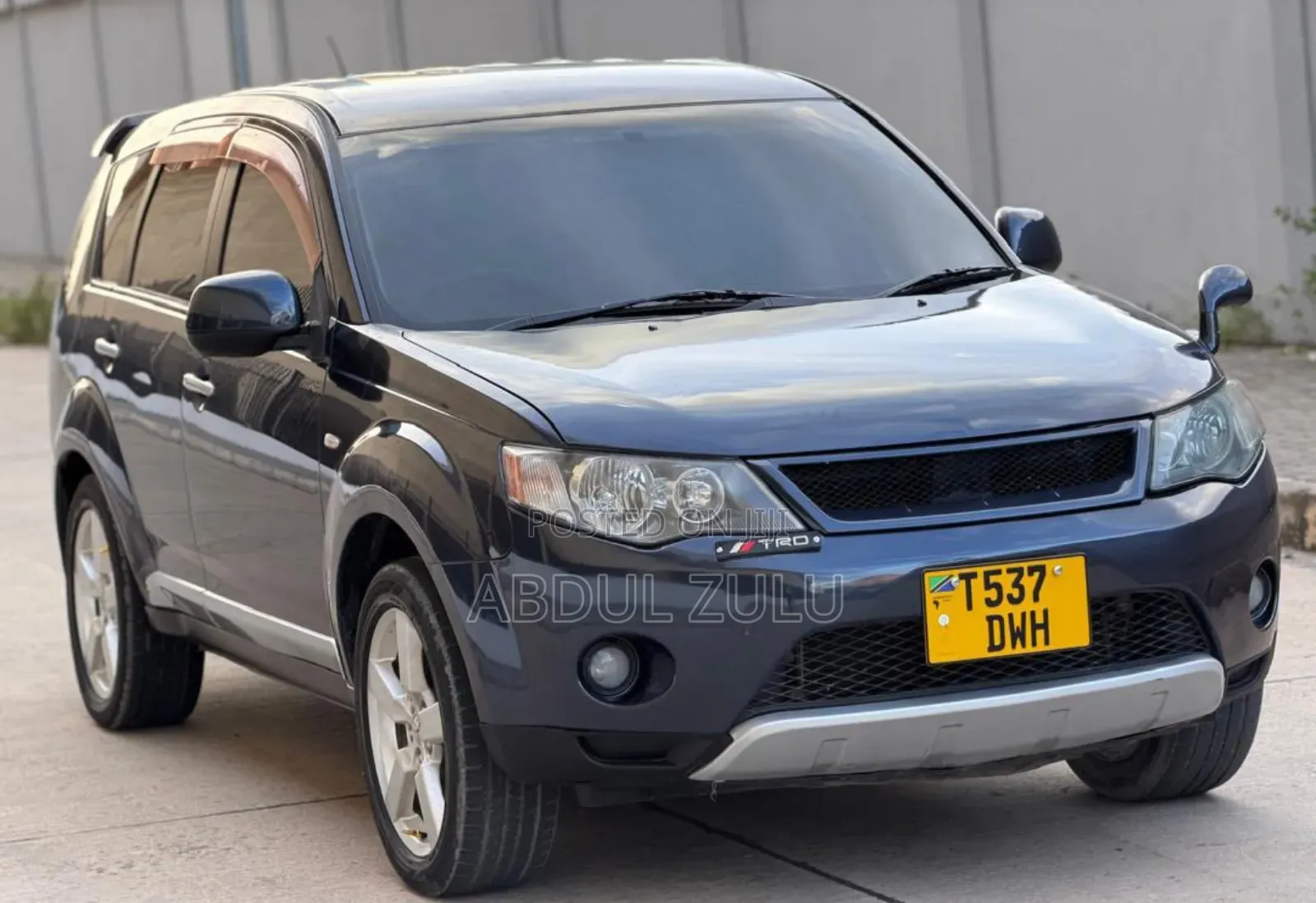 Mitsubishi Outlander 2006 Gray