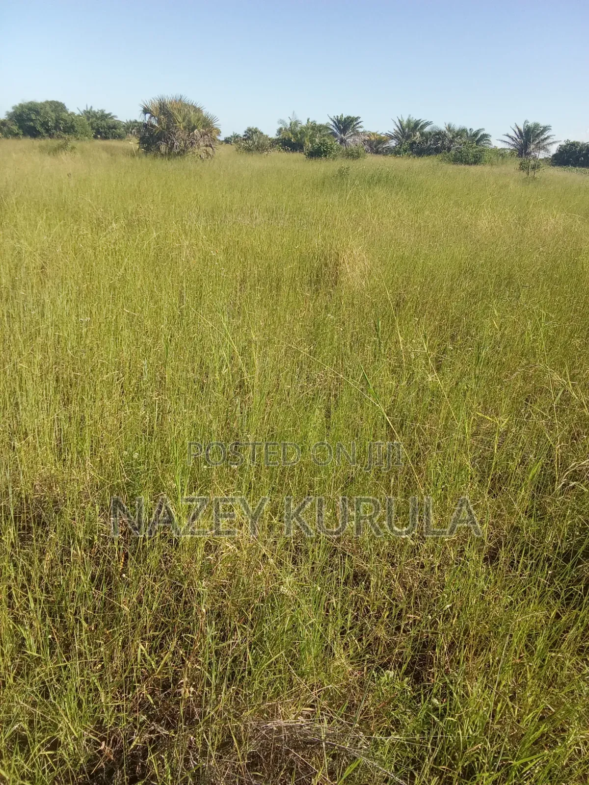 Land for Sale Kigamboni Dar Es Salaam