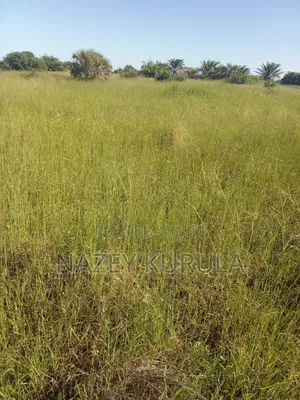 Land for Sale Kigamboni Dar Es Salaam