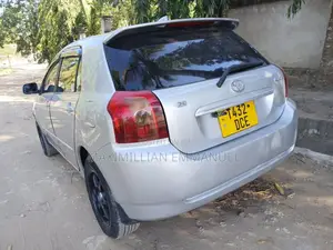 Toyota Corolla RunX 2007 Silver