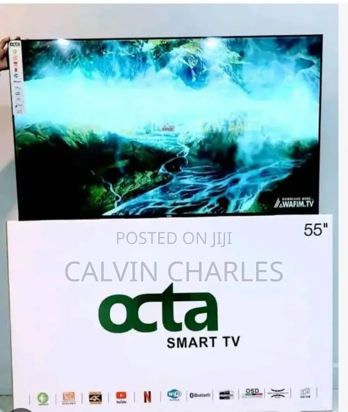 55 Octa Smart Frameles Vidaa