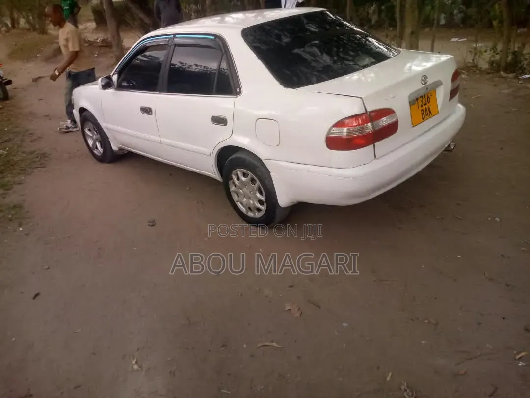 Toyota Corolla Station Wagon 1998 White
