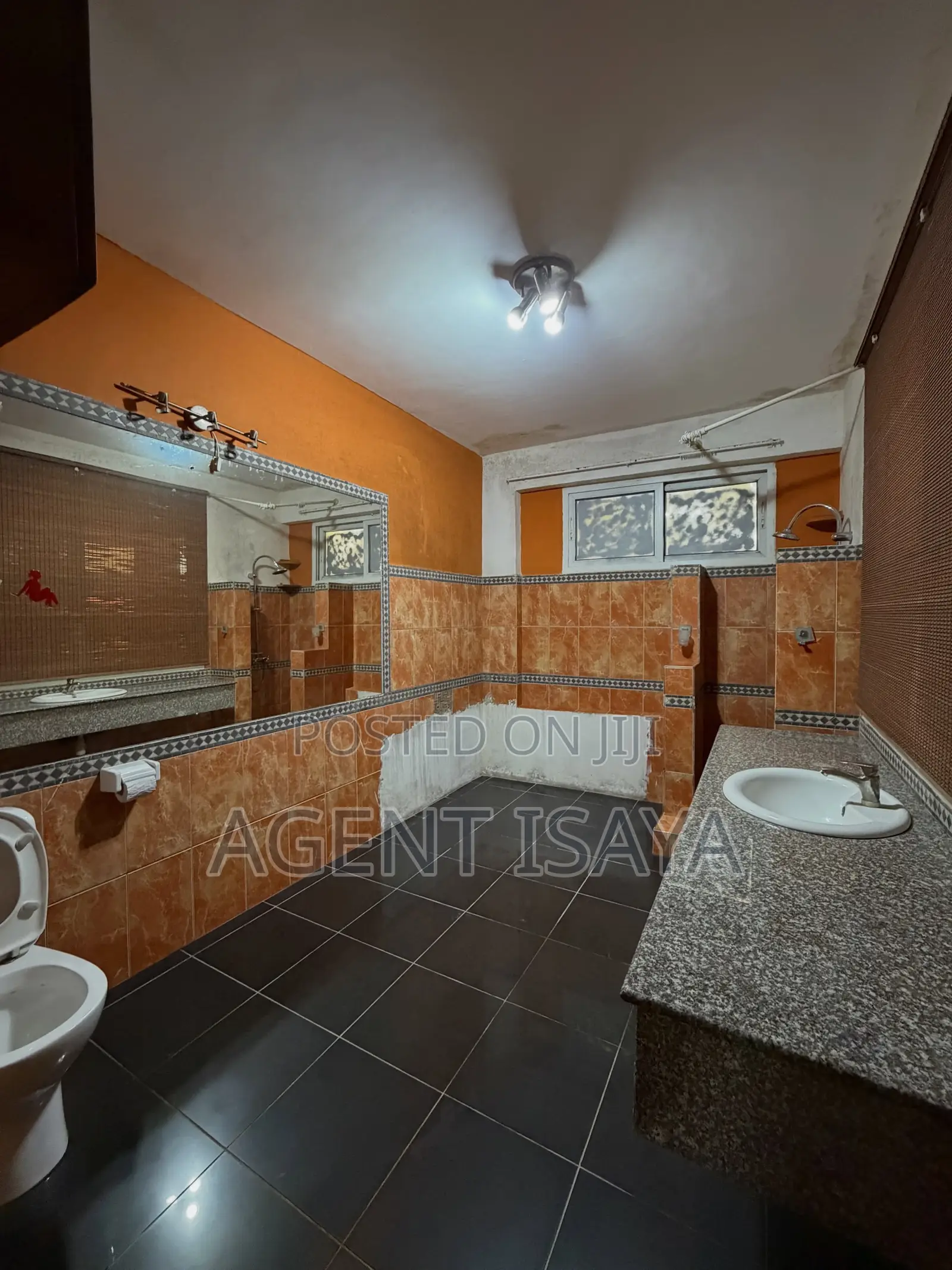 Furnished 1bdrm Apartment in Masaki for rent