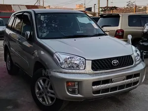 Toyota RAV4 2002 Gold