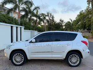 Toyota RAV4 4x4 2009 Pearl
