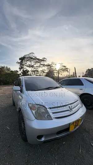 Toyota IST 2004 Gray