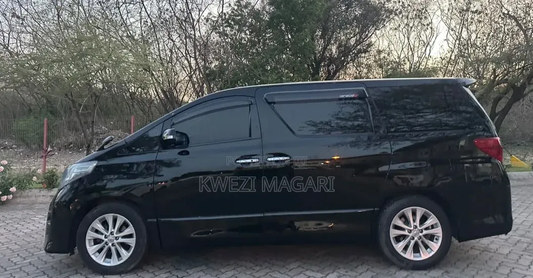 Toyota Alphard 2010 Black