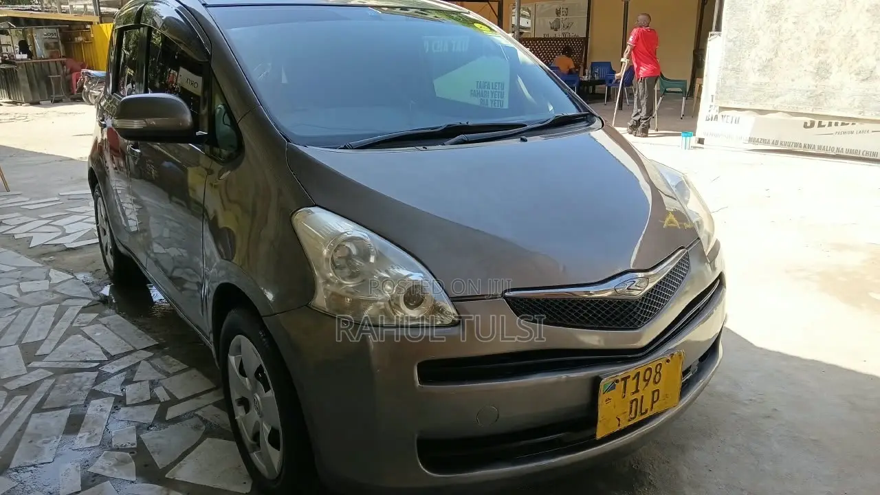 Toyota Ractis 2007 Gray