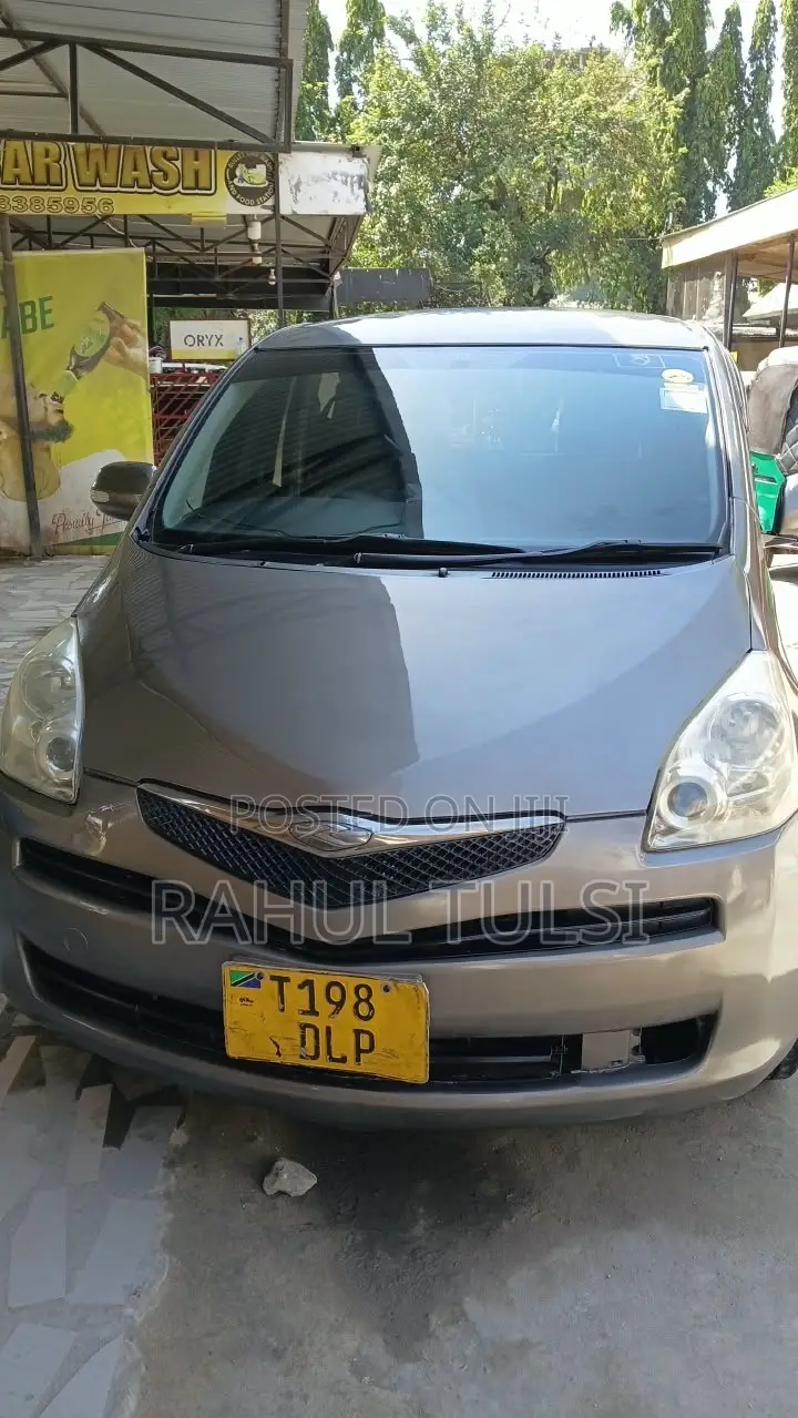 Toyota Ractis 2007 Gray
