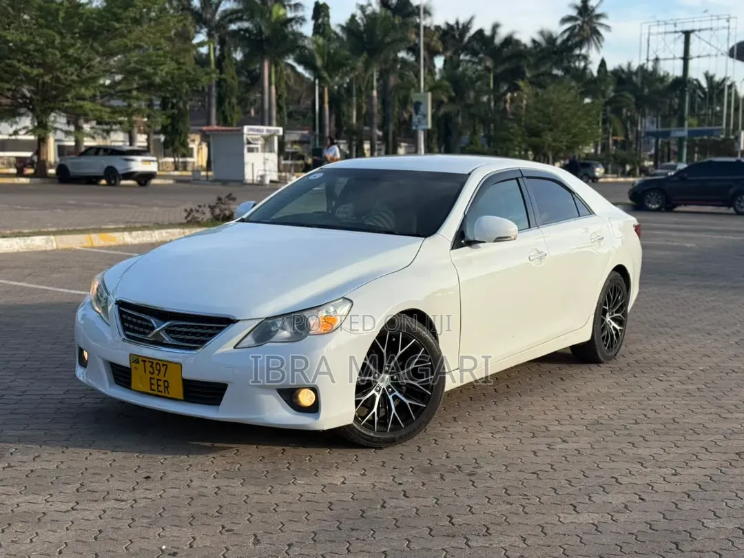 Toyota Mark X 2.5 AWD 2010 White