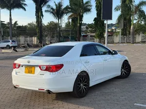 Toyota Mark X 2.5 AWD 2010 White