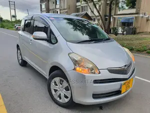 Toyota Ractis 2009 Silver