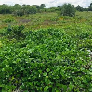 1.5bil ( Beach Plot for Sale )