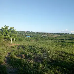 Kiwanja Kinauzwa Mapinga