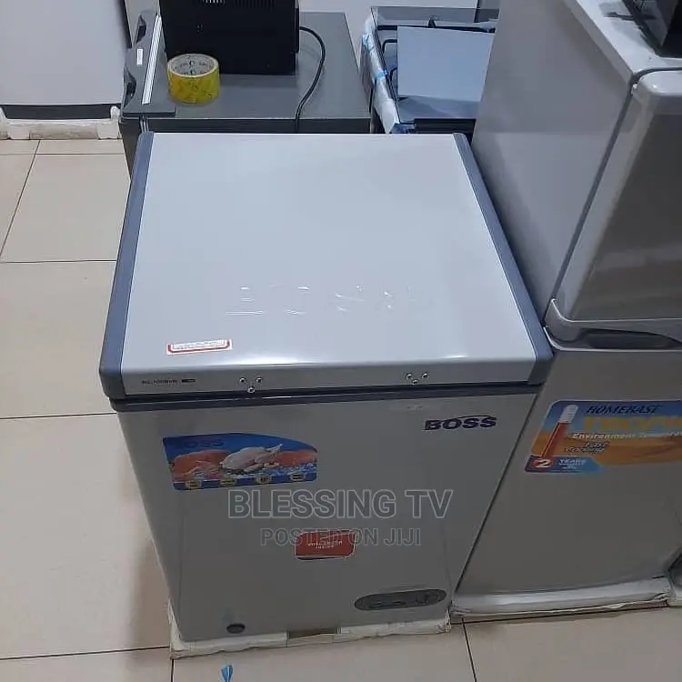 Boss Freezer Lita 100