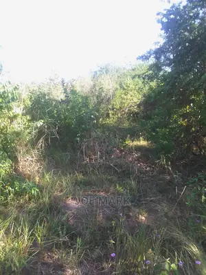 Eneo Linauzwa Vigwaza
