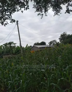 Mradi Mpya Wa Viwanja Karibuni