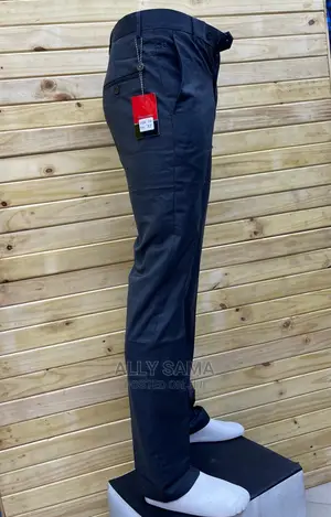 Trousers Gray