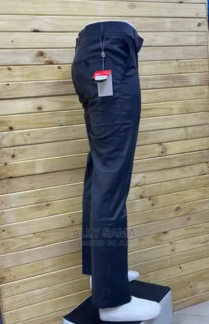 Trousers Purple