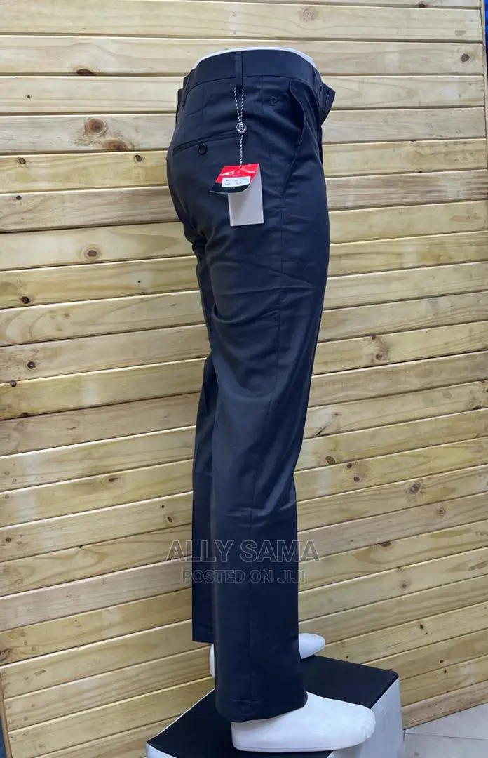 Trousers Purple