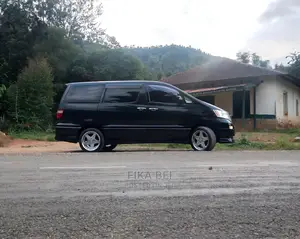 Car Rentals