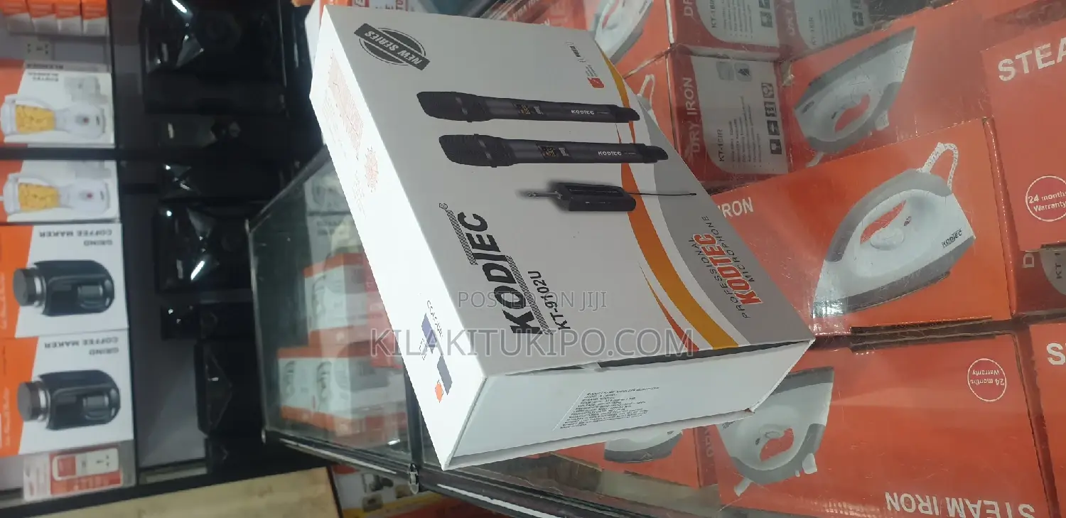 Professional Microphone 2 in 1