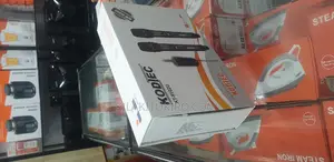 Professional Microphone 2 in 1