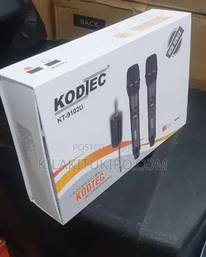 Professional Microphone 2 in 1