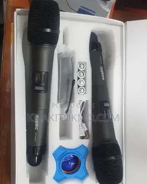 Professional Microphone 2 in 1