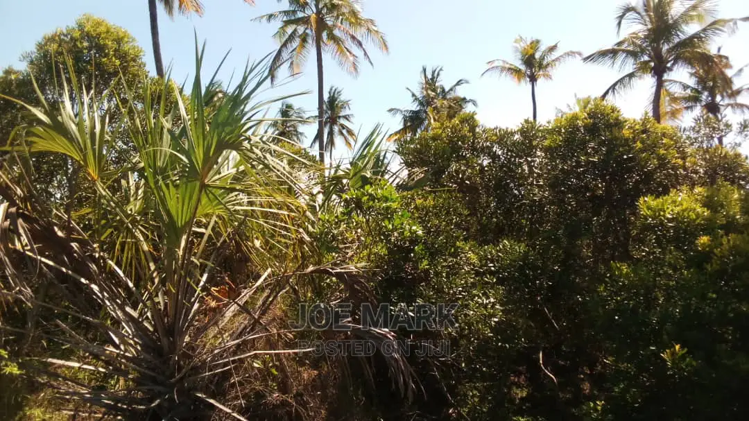 Beach Plot for Sale