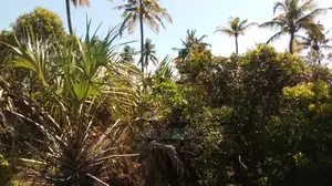 Beach Plot for Sale