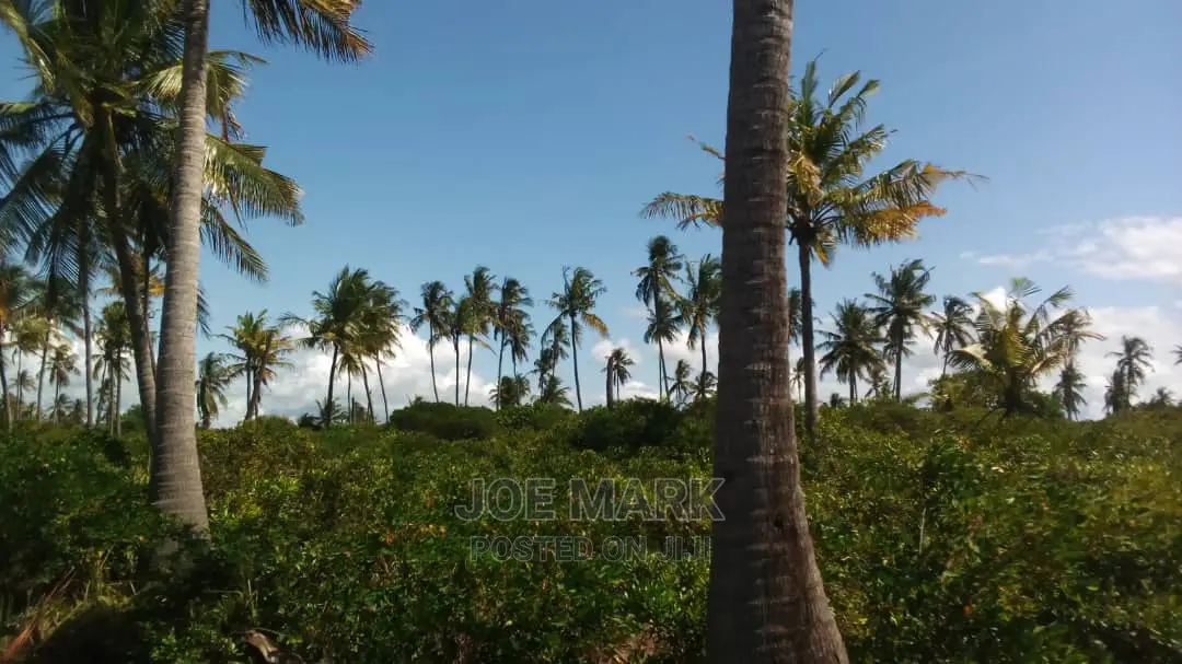Beach Plot for Sale