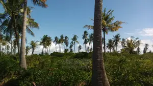 Beach Plot for Sale