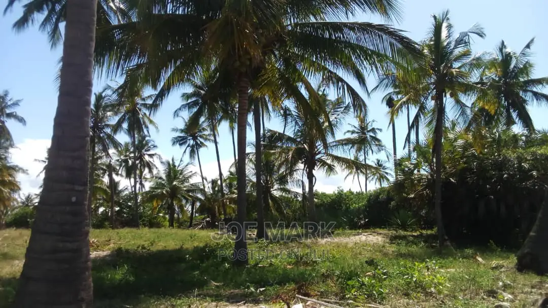 Beach Plot for Sale