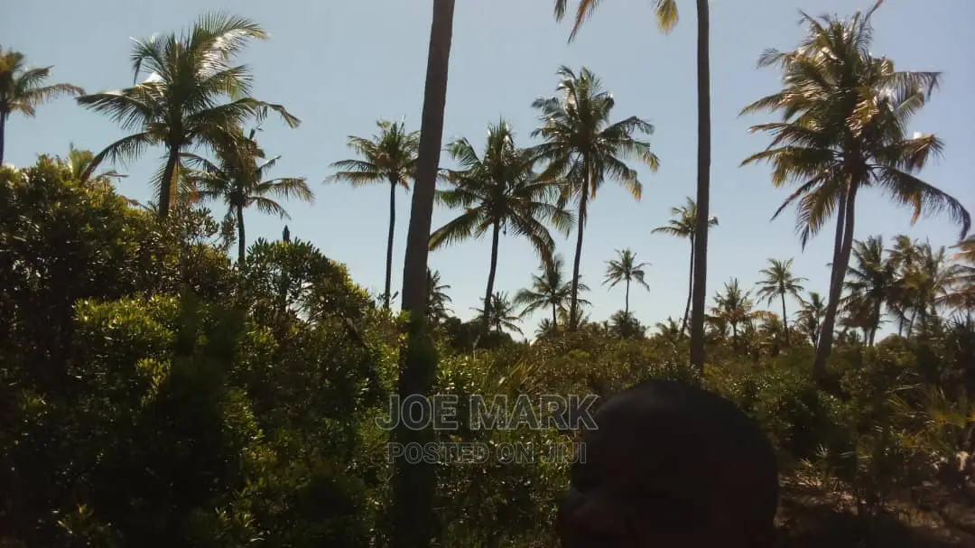 Beach Plot for Sale