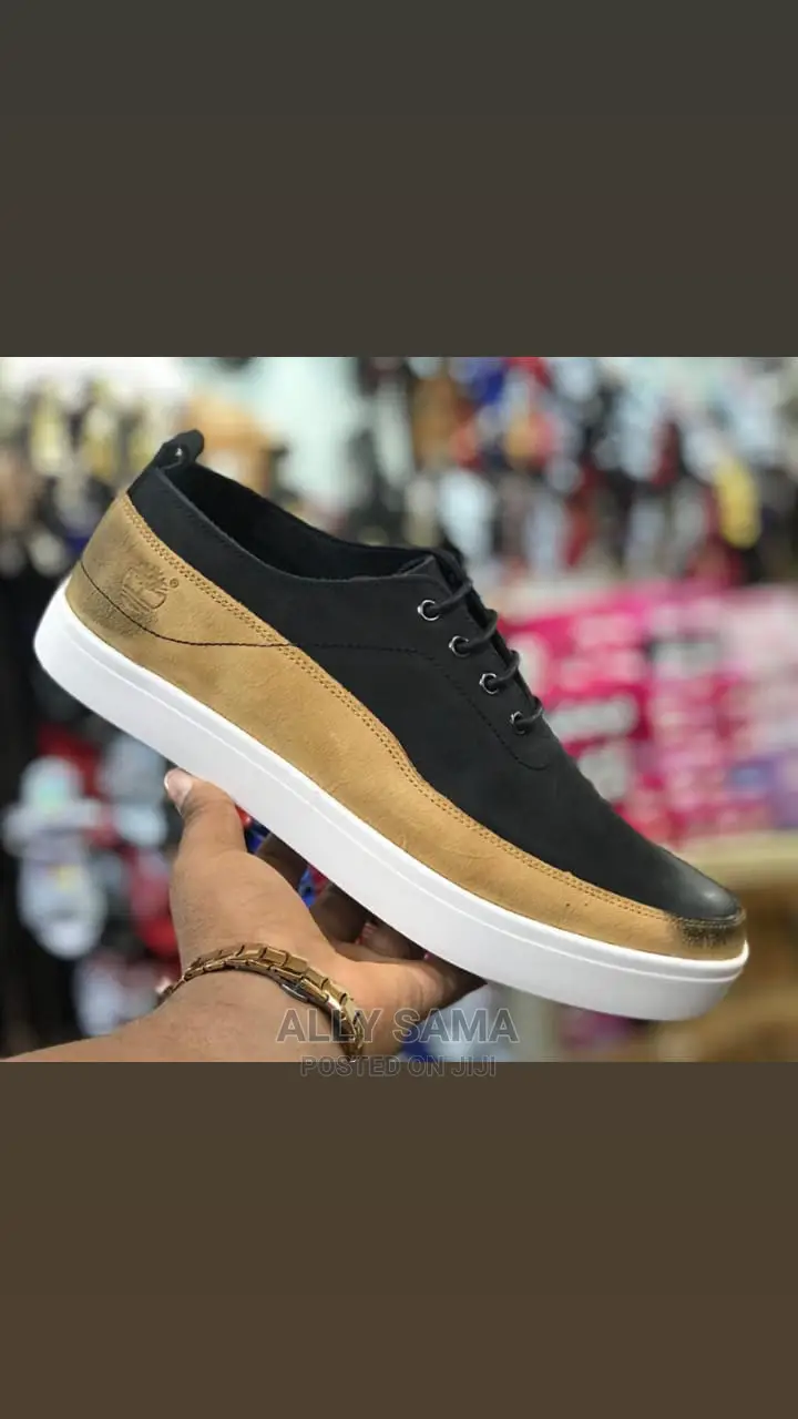 New Brand Timberland