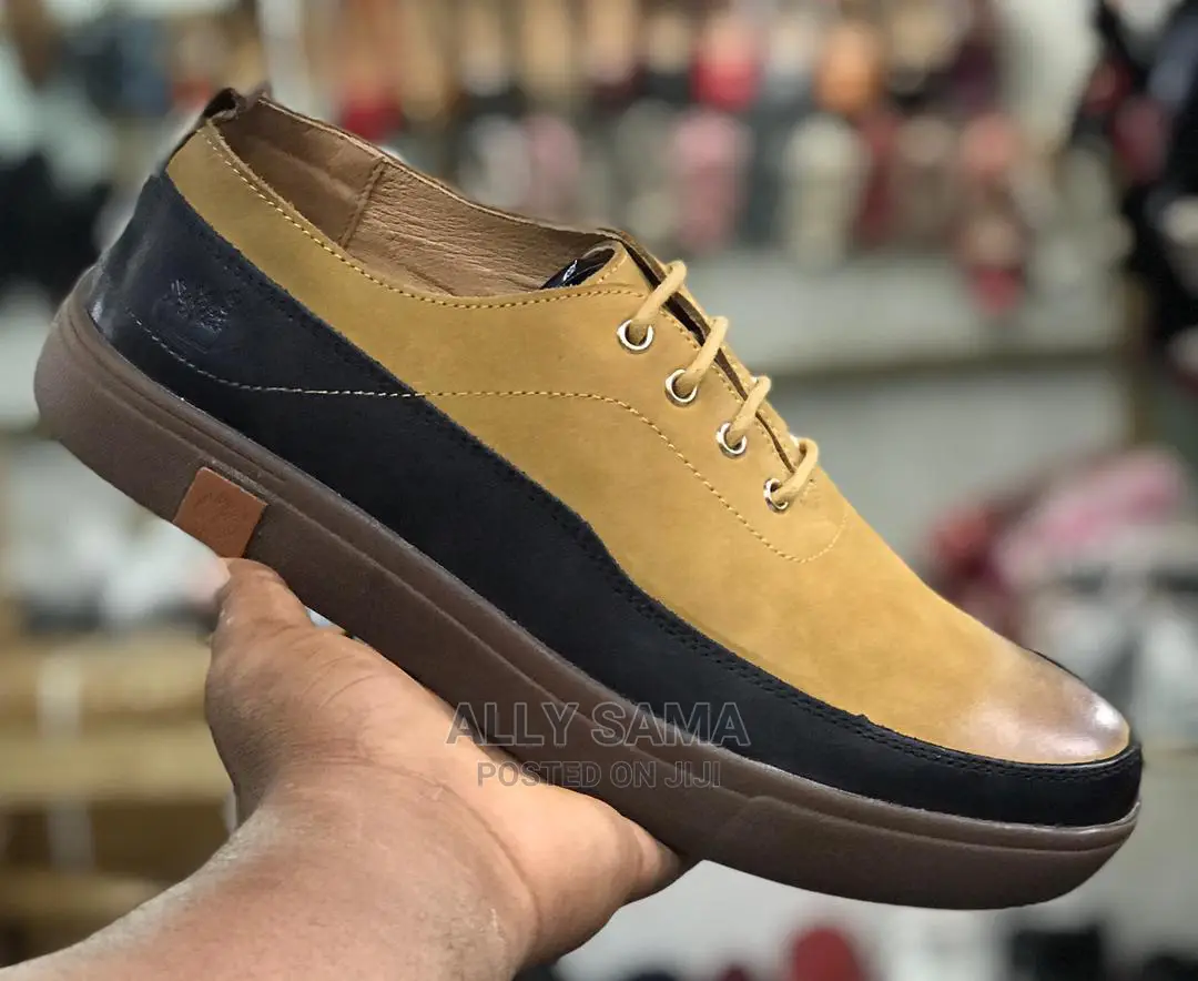 New Brand Timberland