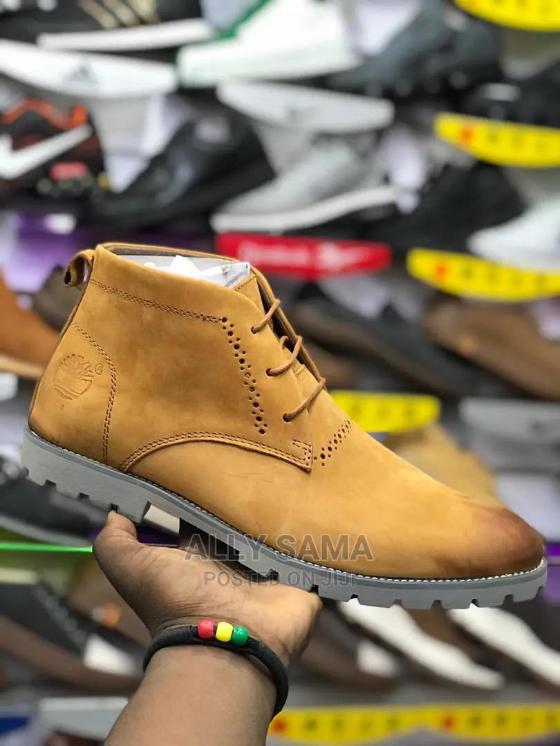New Brand Timberland