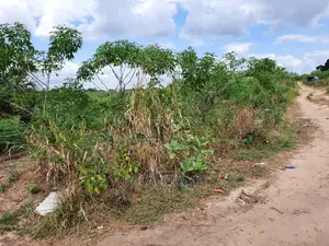 Plot for Sale Sqm2000 at Mbezi Beach