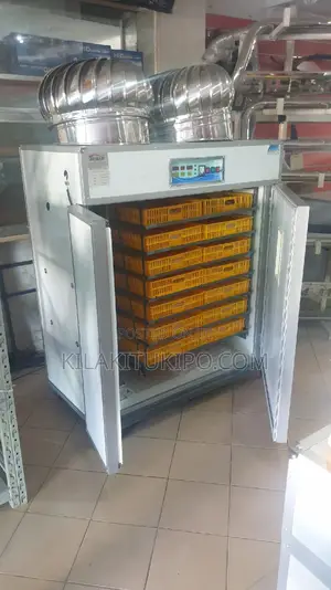 Incubator For Chickens 1232 Eggs