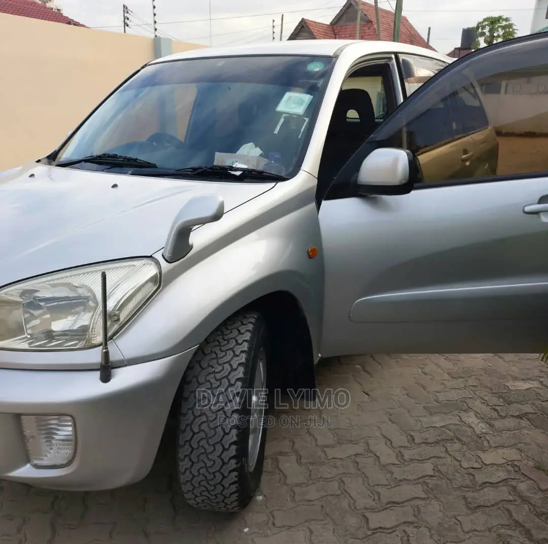 Toyota RAV4 2004 Silver