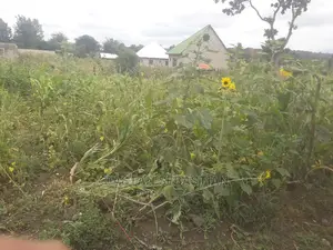 Viwanja Arusha Na Moshi