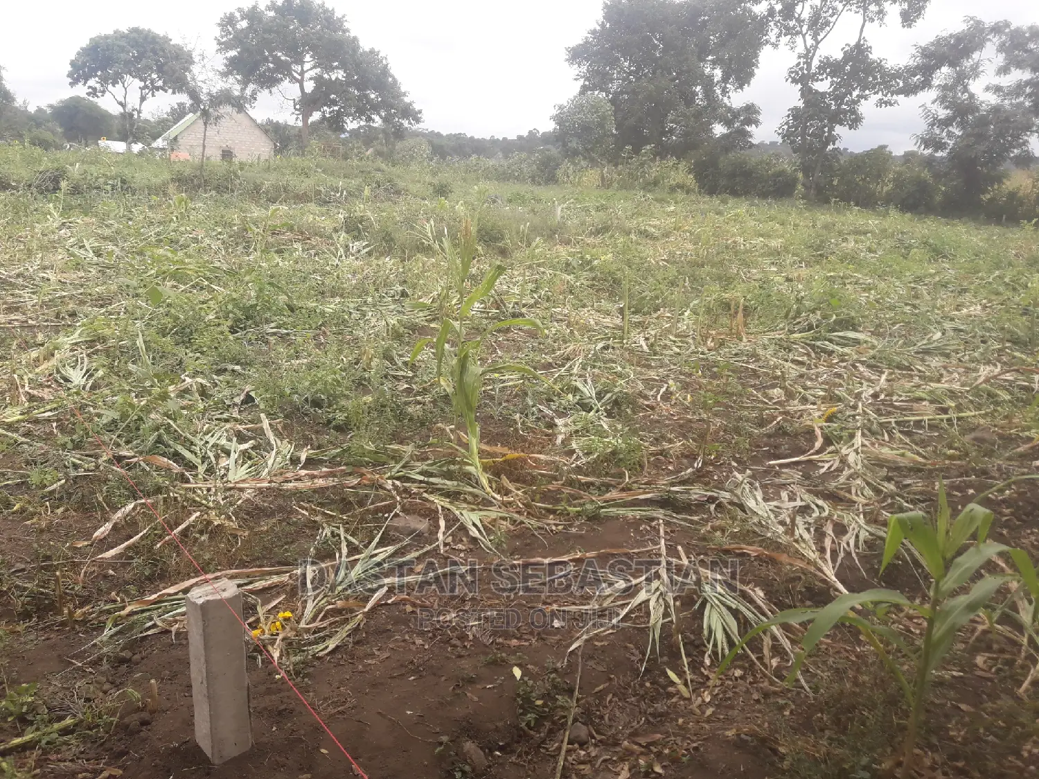 Viwanja Vya Biashara Na Makazi Arusha Na Kilimanjaro