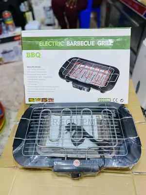 Electric Barbecue Grill