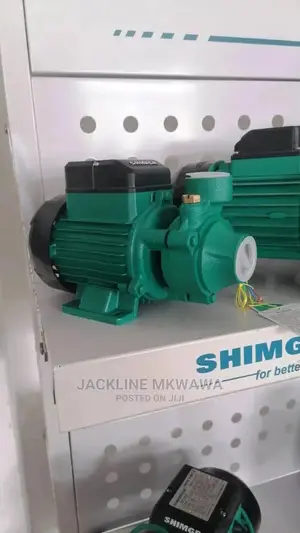 Pumps Zinazotumia Umeme