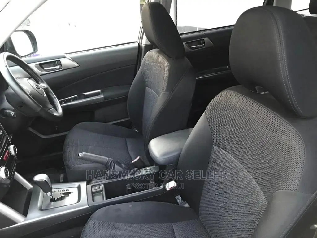 Subaru Forester 2010 Gray